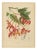 Berthe Hoola van Nooten, Pride of Burma, 1880, Chromolithograph For Sale