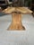 One of a Kind Figured Spaltted Maple Live Edge End Table For Sale - Image 14 of 14
