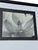 Late 20th Century Imogen Cunningham's Iconic 1925 Black & White Photograph "Magnolia Blossom", Framed For Sale - Image 5 of 10