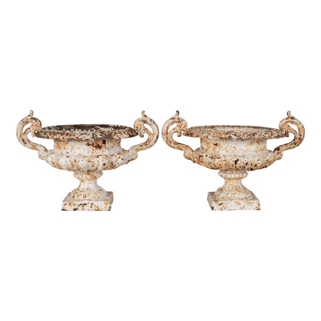 Pair of 19th Century French Cast Iron Urns For Sale