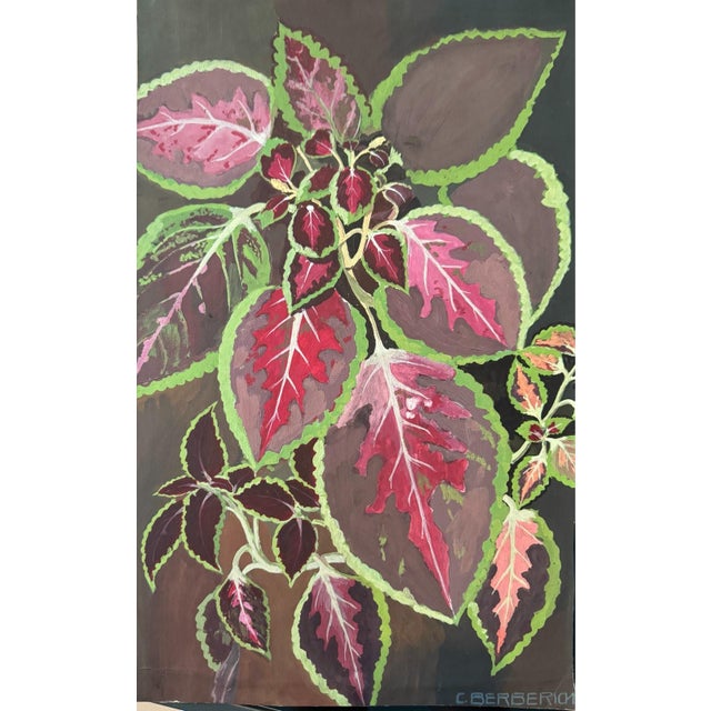 Carl H. Berberich, Coleus Plant Still Life, Oil Painting on Canvas, in Very Good conditions. Designed 1950 to 1959 This...