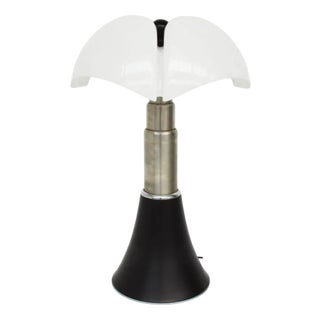 Large Floor Lamp Mod. Black Bat by Gae Aulenti for Valenti Luce, Italy, 1965 For Sale