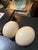 Eggshell Large Pair of Authentic Ostrich Eggs For Sale - Image 8 of 9