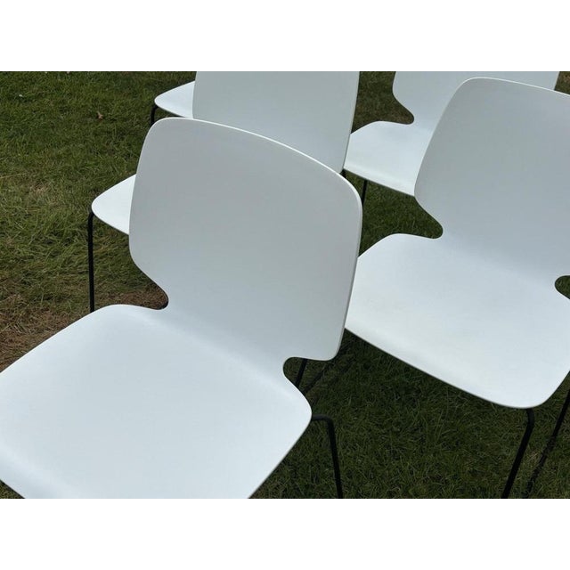 6 pedrali - babila stacking indoor / outdoor dining chairs. Dimensions: h: 800mm sh: 465mm w: 480mm d: 500mm a used item...
