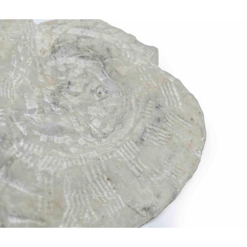 1960s Sirio Pellegrini, Fossil, Sculpture, 1960s For Sale - Image 5 of 6