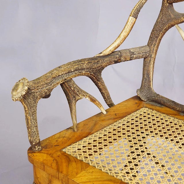 Black Forest Antler Arm Chair by J. A. K. Horn, Turingen 1840s For Sale - Image 10 of 10