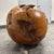 Brown Wood Root Hand-Carved Organic Sculpture Sphere, Large For Sale - Image 8 of 12
