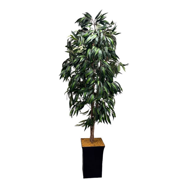 Faux Mango Tree + Tapered Black Planter For Sale