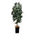 Faux Mango Tree + Tapered Black Planter For Sale