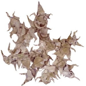 Friedle Brothers Brutalist Wall Sculpture