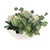 Protea Blooms White Bowl Centerpiece For Sale In Chicago - Image 6 of 9