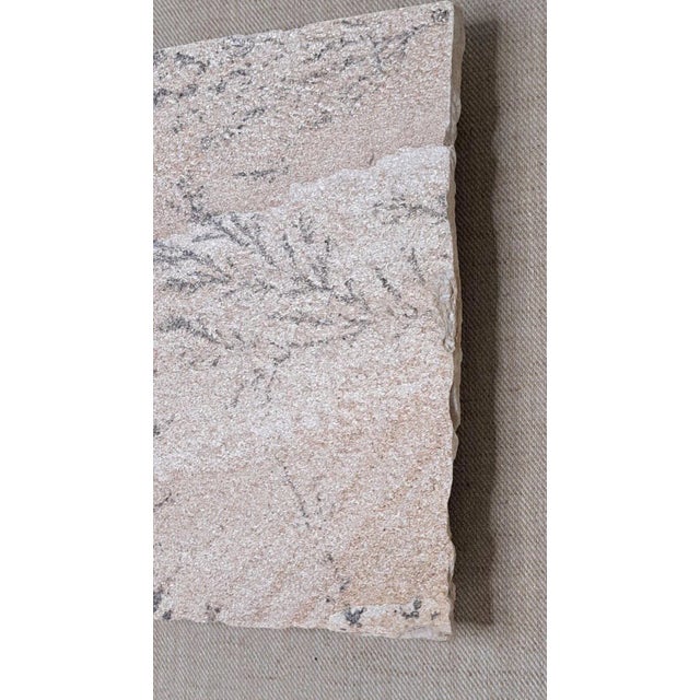 Wood Large 1970s Manganese Oxide Dendrite Slab on Gypsum Matted Framed Rare For Sale - Image 7 of 12