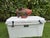 Vintage Hand-Carved Folk Art Fish Sculpture For Sale - Image 4 of 12