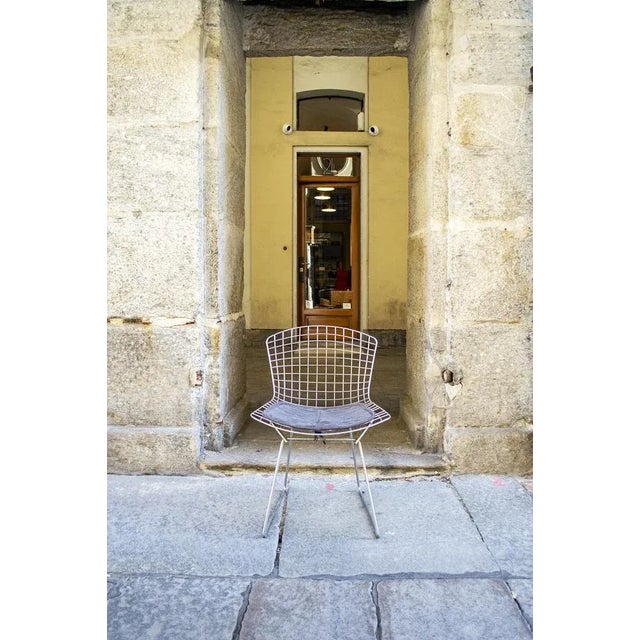 Mid-Century Modern Nr. 420 Chairs by Harry Bertoia for Knoll International, 1950s, Set of 6 For Sale - Image 3 of 10