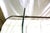 Mid-Century Modern Brass Glass side Table For Sale - Image 17 of 18