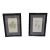 Botanical Fern Book Plates Framed- A Pair For Sale