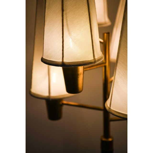 Black Scandinavian Modern Floor Lamp in Brass, Leather and Linen attributed to Hans Bergström, 1940s For Sale - Image 8 of 10