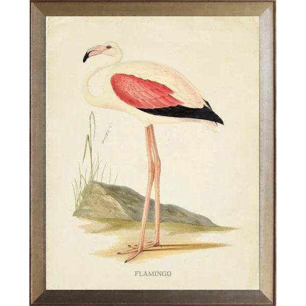 Illustration Pink Wing Flamingo in Distressed Metallic Frame 17x21 For Sale - Image 3 of 3