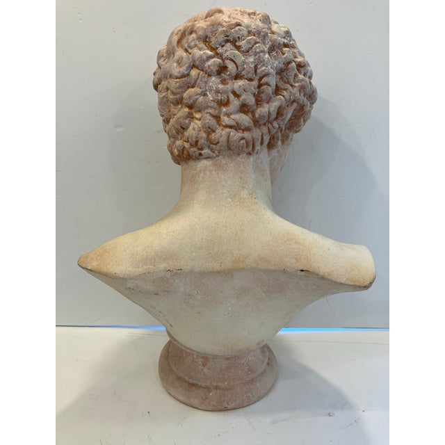 1990s Italian Terracotta Roman Portrait Bust For Sale - Image 4 of 5