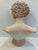 1990s Italian Terracotta Roman Portrait Bust For Sale - Image 4 of 5