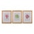 Bradbury Seaweed Prints in Hand-Crafted Frames - Set of 3 For Sale
