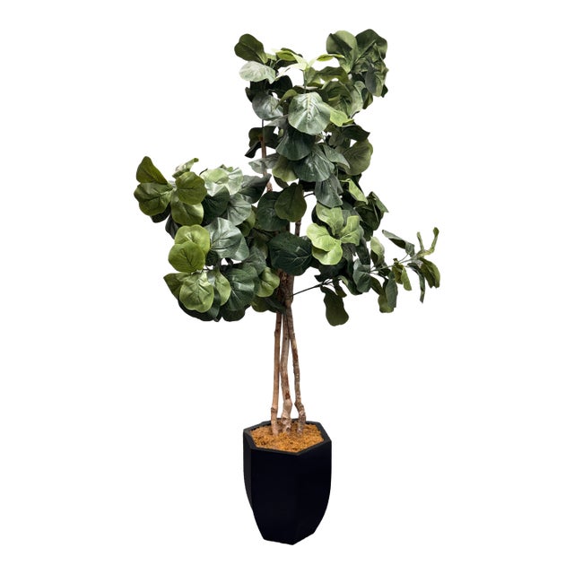 Faux Fiddle Leaf Fig Tree + Tapered Black Planter For Sale