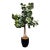 Faux Fiddle Leaf Fig Tree + Tapered Black Planter For Sale