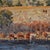 On the Arkansas by Clyde Steadman | Oil Painting of cattle near a riverbank For Sale
