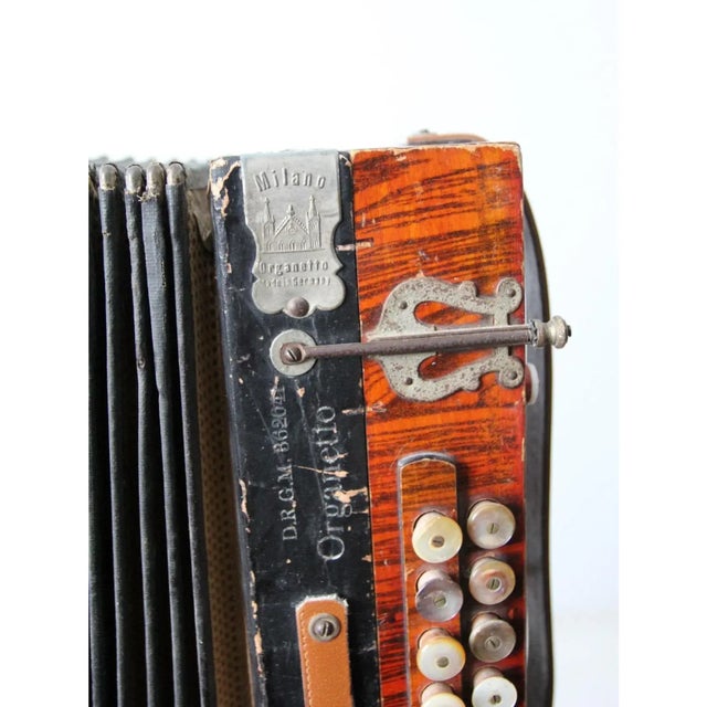 Vintage Accordion Collection - Set of 8 For Sale - Image 4 of 12