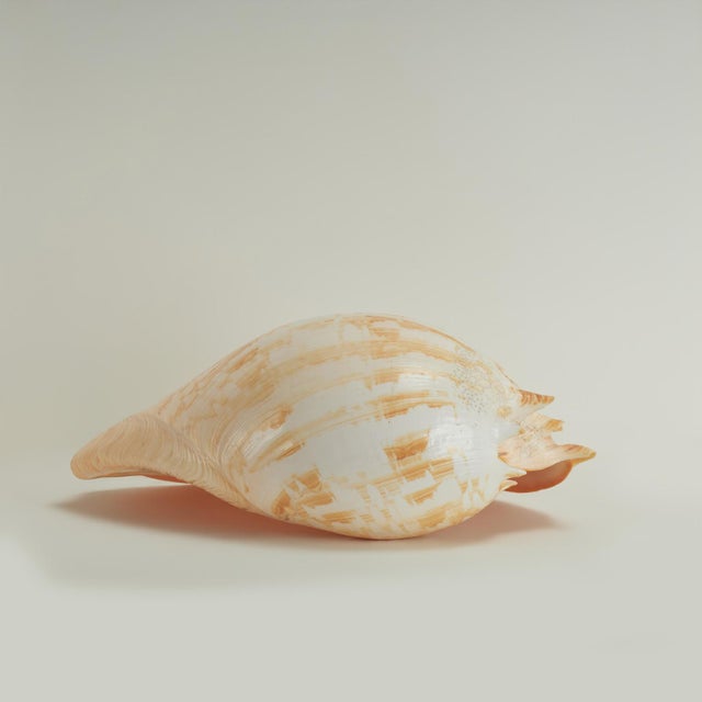 True to its name the Melo Amphora is an organic seashell with a melon color scheme on an ocean inspired sculptural bowl...