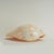 True to its name the Melo Amphora is an organic seashell with a melon color scheme on an ocean inspired sculptural bowl...