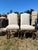 Two Louis VIII style chairs made in France in 1860 with deeply patinaed ash, upholstered in white linen.
