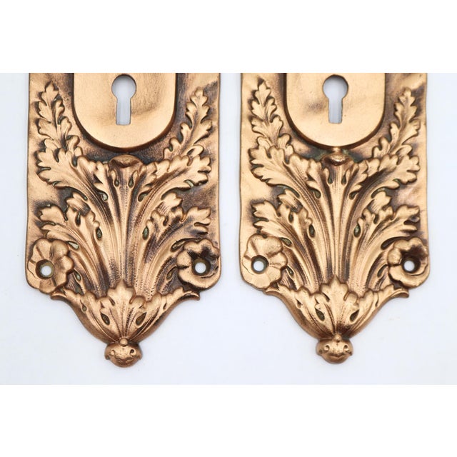 Renaissance Pair of 1890s R&e Italian Renaissance Verocchio Brass Door Back Plates For Sale - Image 3 of 5