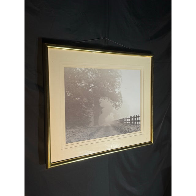 Mid 20th Century Misty Country Road Black and White Photograph in Gold Frame For Sale - Image 4 of 8