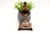 Silver Silver Pineapple-Shaped Toothpick Holder For Sale - Image 8 of 8