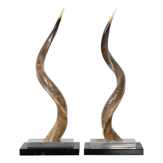 Pair of European Midcentury Horns Mounted on Silver and Black Stepped Bases For Sale