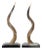 Pair of European Midcentury Horns Mounted on Silver and Black Stepped Bases For Sale