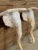 Vintage Regency Sculptural Elephant Carved Wood Wall Bracket Shelves-Pair For Sale In Naples, FL - Image 6 of 12
