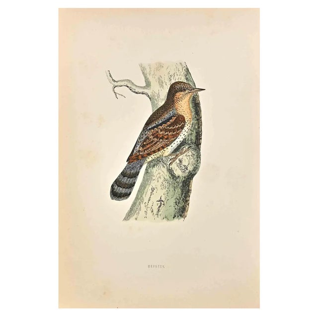 Alexander Francis Lydon, Wryneck, Woodcut Print, 1870 For Sale