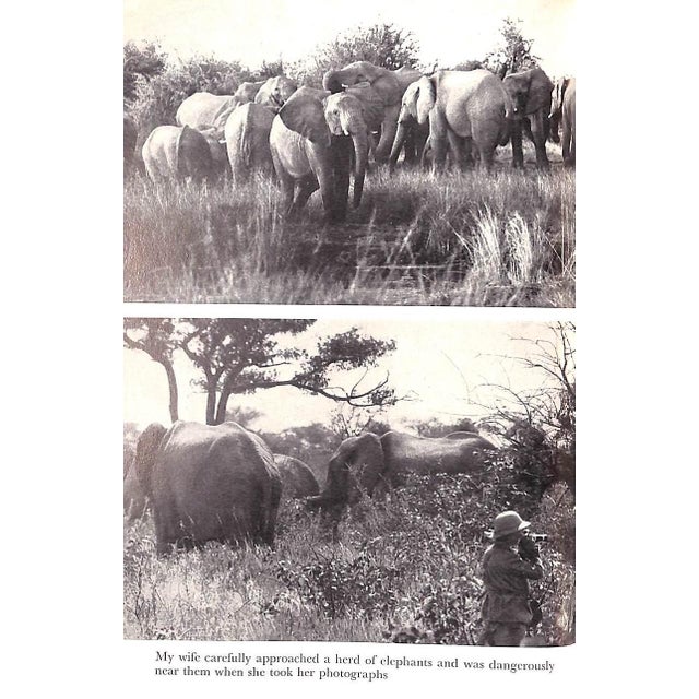 "Animal Safari: Big Game in South West Africa" 1956 Heck, Lutz For Sale In New York - Image 6 of 8