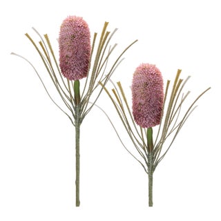 Protea Floral Stem (Set of 2) For Sale