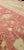 Antique Oushak Carpet, Handmade Turkish Oriental Rug, Beige, Coral, Soft Colors For Sale - Image 17 of 18