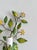 French Tole Painted Daisy Floral Wall Sconces, 1970, Set of 2 For Sale - Image 14 of 18