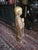 Buddhist Diety Statue With Gilt Finish For Sale - Image 9 of 11