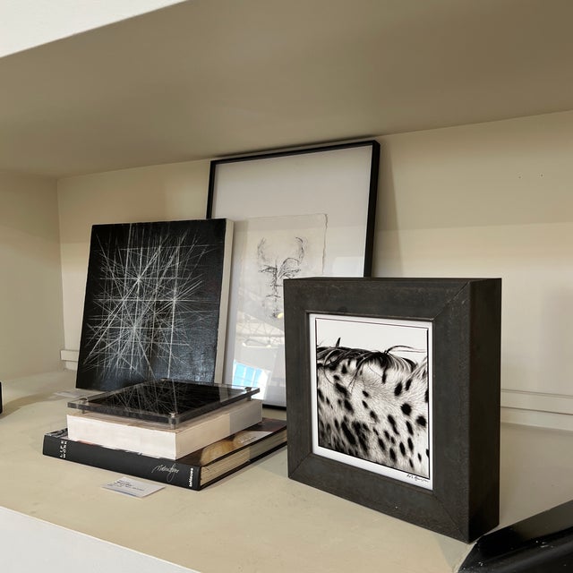 Contemporary "Spotted Mane" Limited Edition Print by Rob Brinson For Sale - Image 3 of 13