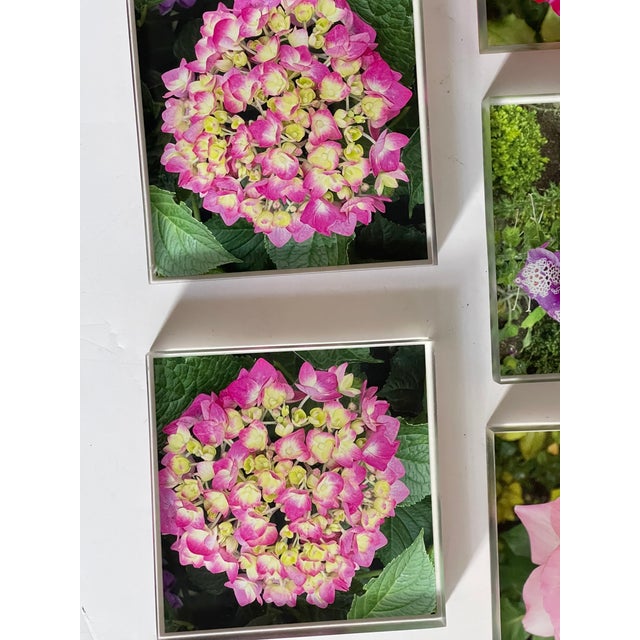 1970s Lucite Coasters Blocks Blooming Florals Roses For Sale - Image 4 of 6