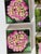 1970s Lucite Coasters Blocks Blooming Florals Roses For Sale - Image 4 of 6