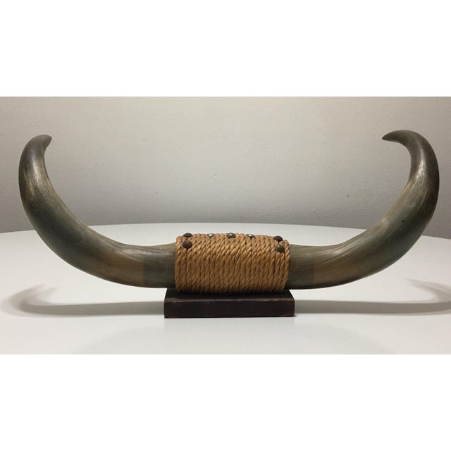 1950's Mounted Bull Horns Chairish