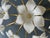 White Daisies Murano Ceiling Light, 1980s For Sale - Image 4 of 15