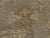 Hand Knotted Wool Pile on Cotton Foundation Rug. 8'1"x 10' For Sale - Image 14 of 18